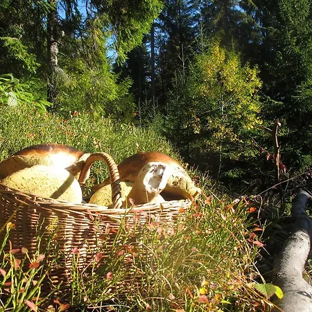 Drewniany W Gorach Orman Evi Nowy Targ